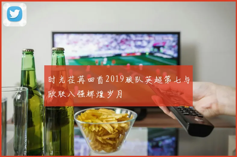 时光荏苒回首2019狼队英超第七与欧联八强辉煌岁月