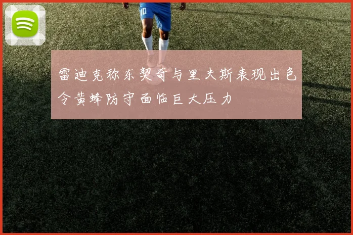 雷迪克称东契奇与里夫斯表现出色令黄蜂防守面临巨大压力