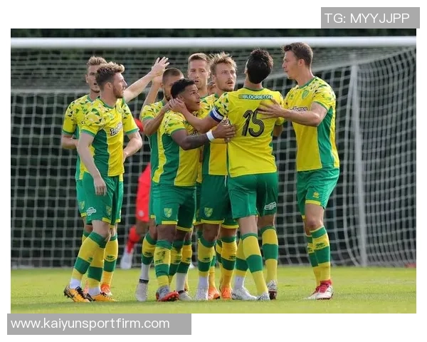 沃特福德球员因左腿内收肌拉伤预计缺阵两周以上